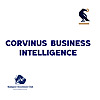 Corvinus Business Intelligence