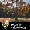 Yosemite Nature Notes
