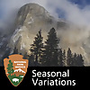 Seasonal Variations