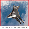 Carton d'invitation