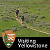 Visiting Yellowstone