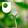 Plants and people - for iPod/iPhone