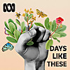 Days Like These