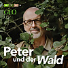Peter und der Wald – ein GEO-Podcast