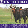 Cattle Chat
