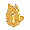 Christ Presbyterian Church