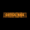 5 Questions- A Critical Mass for the Visual Arts Podcast