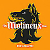 The Molineux View - A show about Wolves