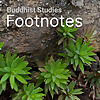 Buddhist Studies Footnotes