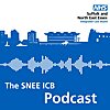 NHS Suffolk and North East Essex ICB Podcast