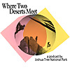 Where Two Deserts Meet