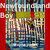 Newfoundland Boy