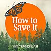 How to Save It
