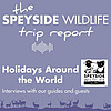 The Speyside Wildlife Trip Report