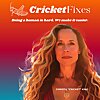 Cricket Fixes