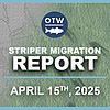 Northeast Offshore Fishing Report