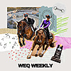 WEQ Weekly