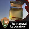 The Natural Laboratory