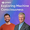 Exploring Machine Consciousness