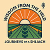 Wisdom from the Field By Tzviki Krasnjansky