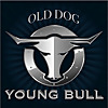 Old Dog Young Bull