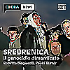 Srebrenica - Il genocidio dimenticato