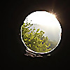 Look in Through the Glass
