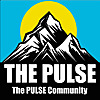 The Pulse