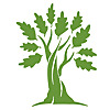 Shaking the Tree: A Royal Oak Schools Podcast