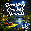 Deep Sleep Cricket Sounds