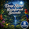 Deep Sleep Rainforest Sounds