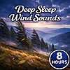 Deep Sleep Wind Sounds