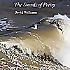 The Sounds of Poetry - David Williams