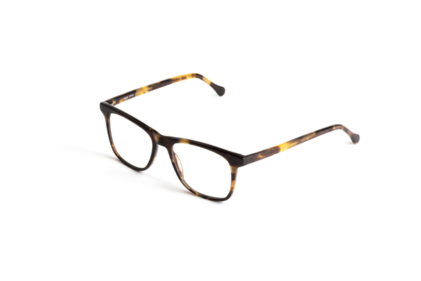 Jemison_c5_WhiskeyTortoise_Diagonal_1