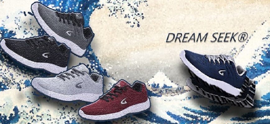 Fashiongo Dream Seek