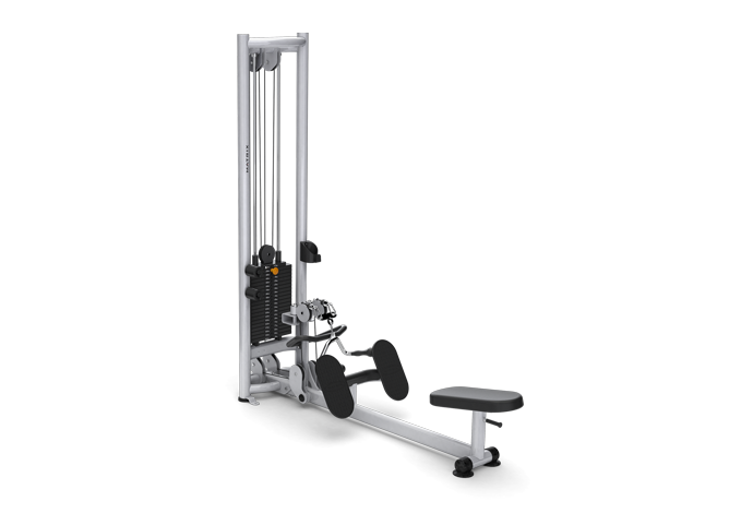 G3-MS53