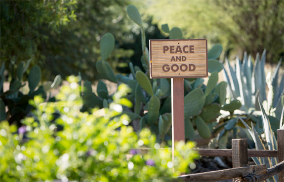 3964peaceandgoo_00000003389