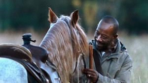 walking dead morgan horse
