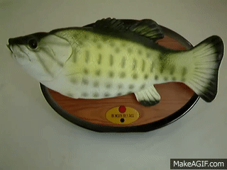 singing-fish