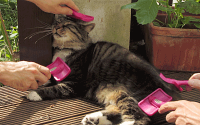 Geek Girl Authority Labor Day Activities and Ideas Pamper