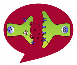 lime green A-B-Synapse-in-a red Thought-Bubble
