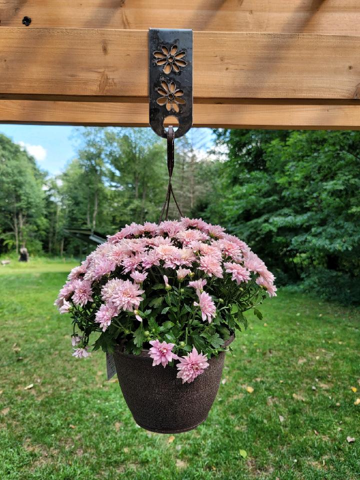 Backyard Discovery Pergola Plant Hanger FireShare Langmuir Systems