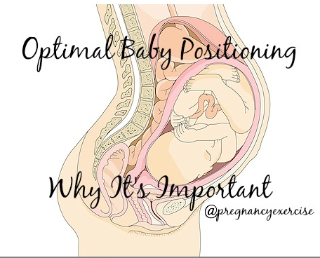 Experts on Diastasis Recti: Fetal Alignment by Lorraine Scapens - fit2b.com