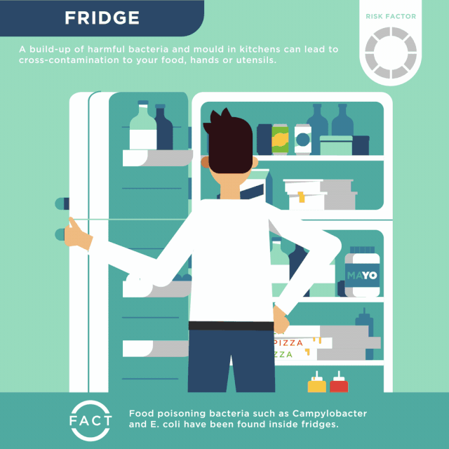 how to use refrigerator correctly