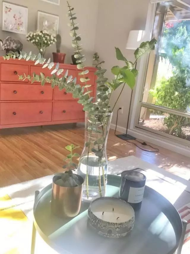 agents remodel their homes