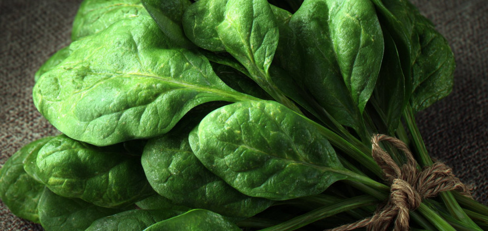 8 Healthy Foods That You May Add To Your Everyday Meals