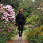 Best Time to Walk for Health Morning vs Afternoon vs Evening