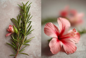 Hair fall How to use rosemary and hibiscus for healthier-looking hair