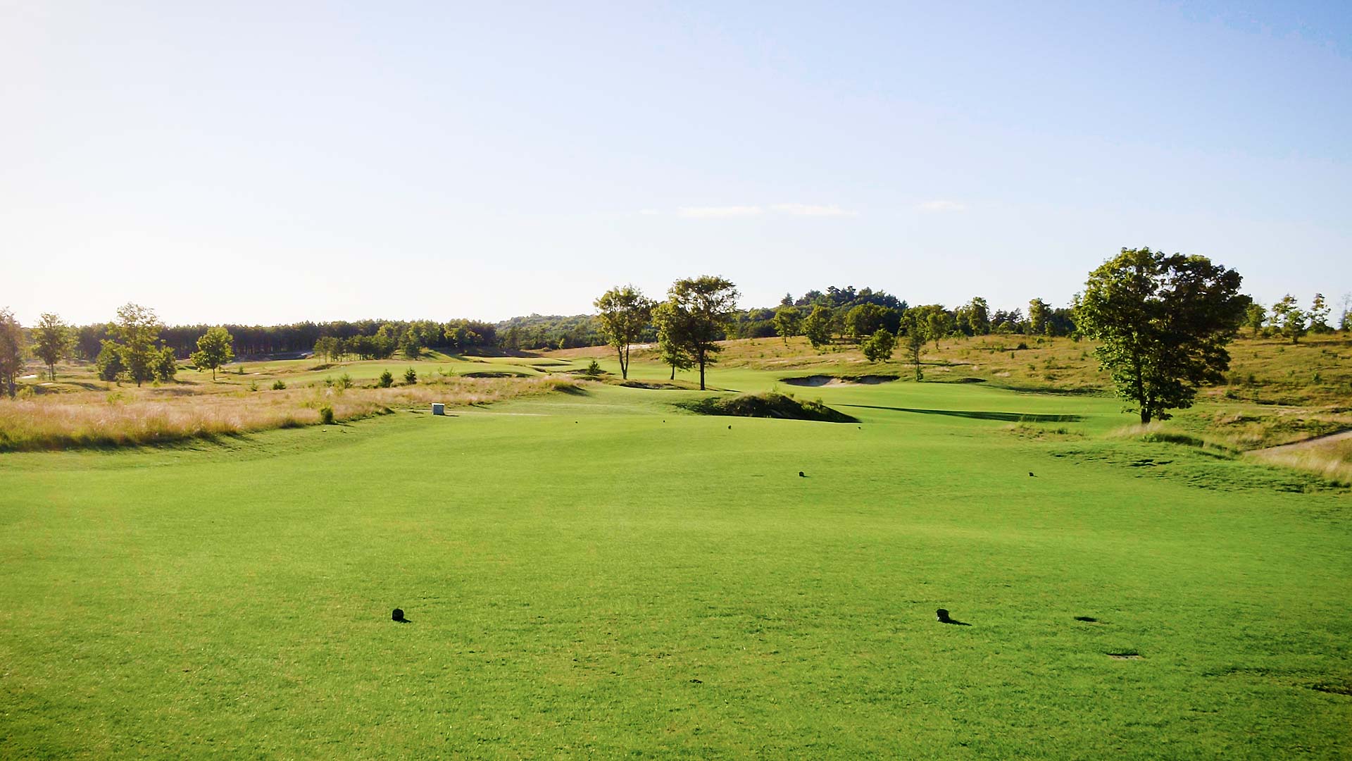 Hole 12.00 00 00 00.still005