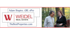 agent logo
